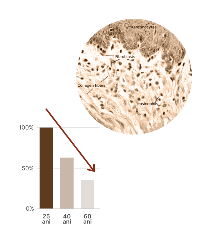 De ce scade nivelul de colagen?